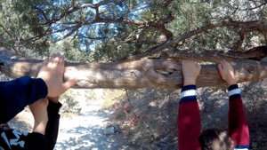 Новый Свет   Царский пляж и обратно