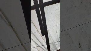 деревянная теплица 6 на 9