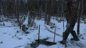 Выбор места для установки капкана КП 250 под лёд