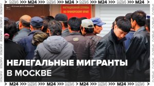 Более сотни нелегальных мигрантов задержали в Москве - Москва 24