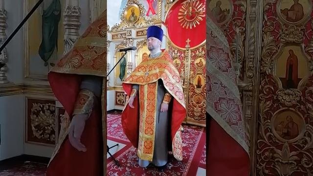Проповедь протоиерея Александра Филиппова в Неделю 6-ю по Пасхе, о слепом 21 мая 2023 года