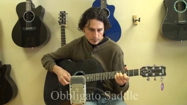 RainSong Black Ice Dreadnought with NS Neck