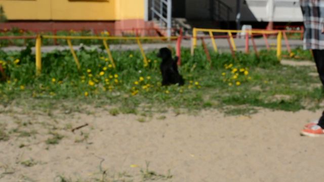 Пикассо и Парлэн смотреть онлайн