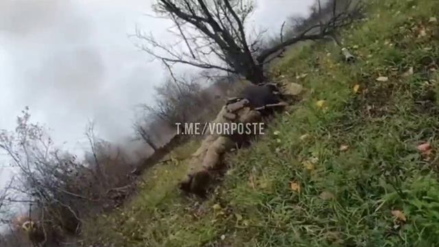 Видео от Арбале́т l Arbalet Z.mp4 смотреть онлайн