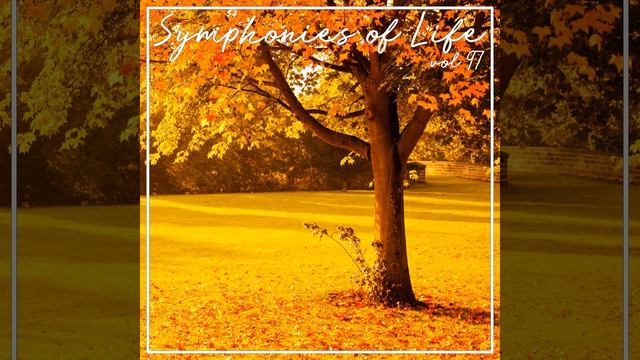 Rosamunde смотреть онлайн