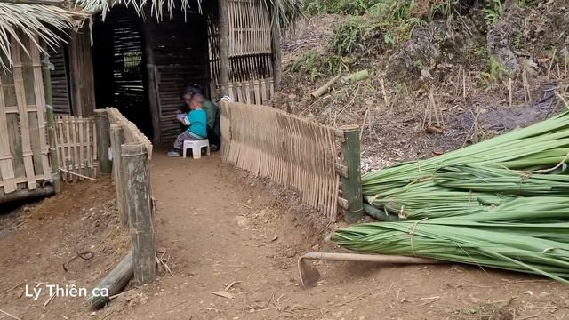 Journey to cut palm leaves in the forest to roof the bathroom - Life of a 17-Year-Old Single Mother смотреть онлайн