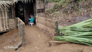 Journey to cut palm leaves in the forest to roof the bathroom - Life of a 17-Year-Old Single Mother