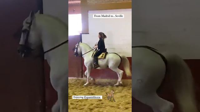 Elsa Pataky Riding Horse..