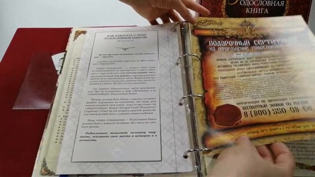 Семейный альбом родословная "Художественная" смотреть онлайн