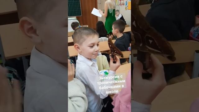 Экскурсии с живыми тропическими бабочками в школе? смотреть онлайн