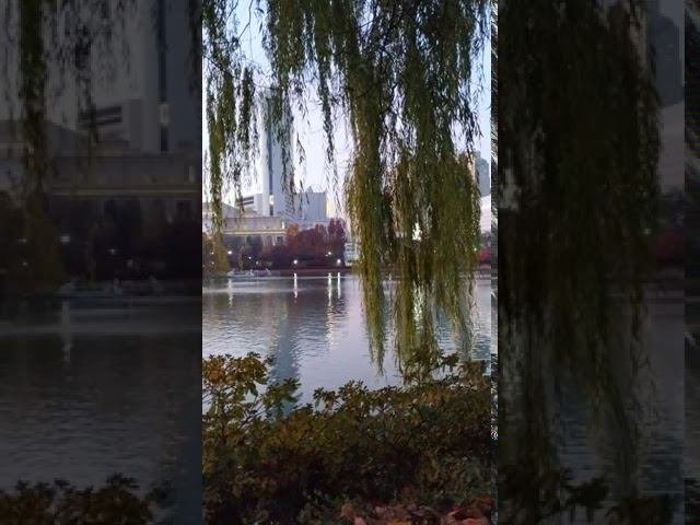 Сеул озеро Сокчхон