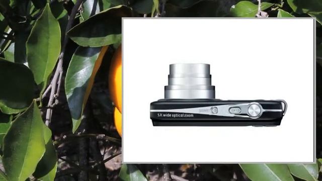 General Imaging E1450W
