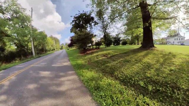 EUC Crash, close call! Veteran Sherman, Dog Hit. смотреть онлайн