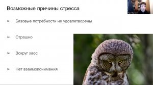 Как помочь взрослому или ребёнку с ТМНР адаптироваться к новому месту