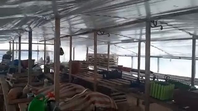 Как быстро очистить снег с крыши Надежный способ уборки снега с навеса и теплицы??.mp4