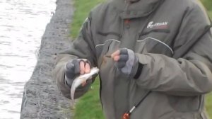 Рыбалка на реке в Подмосковье. Ловля окуня на спиннинг.