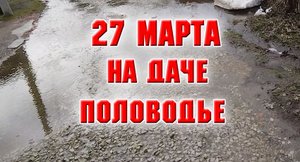 27 марта. Половодье на даче. Уборка участка, подкормка кустарников, ягодников и цветников