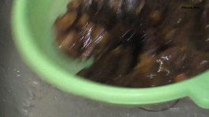 Соленые чернеющие подгруздки. Рецепт приготовления
