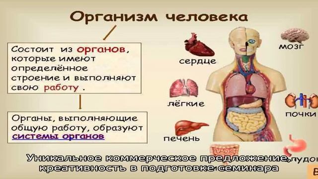 Курс для бизнес-тренера от тренингового агентства 'Мастер-класс'