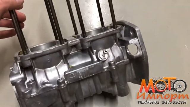 Картер Рысь 440 смотреть онлайн