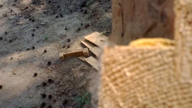 Строим каркасный дом смотреть онлайн