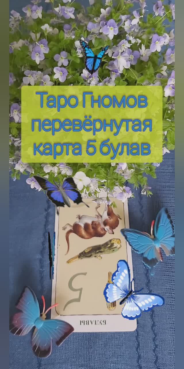 Таро Гномов шутит. Перевёрнутая карта 5 булав