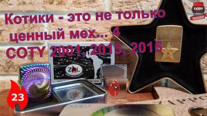 23: Коллекционные Zippo COTY - 2001, 2013-2015 годов