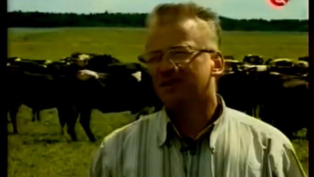 Преимущества гибридов с зебу смотреть онлайн