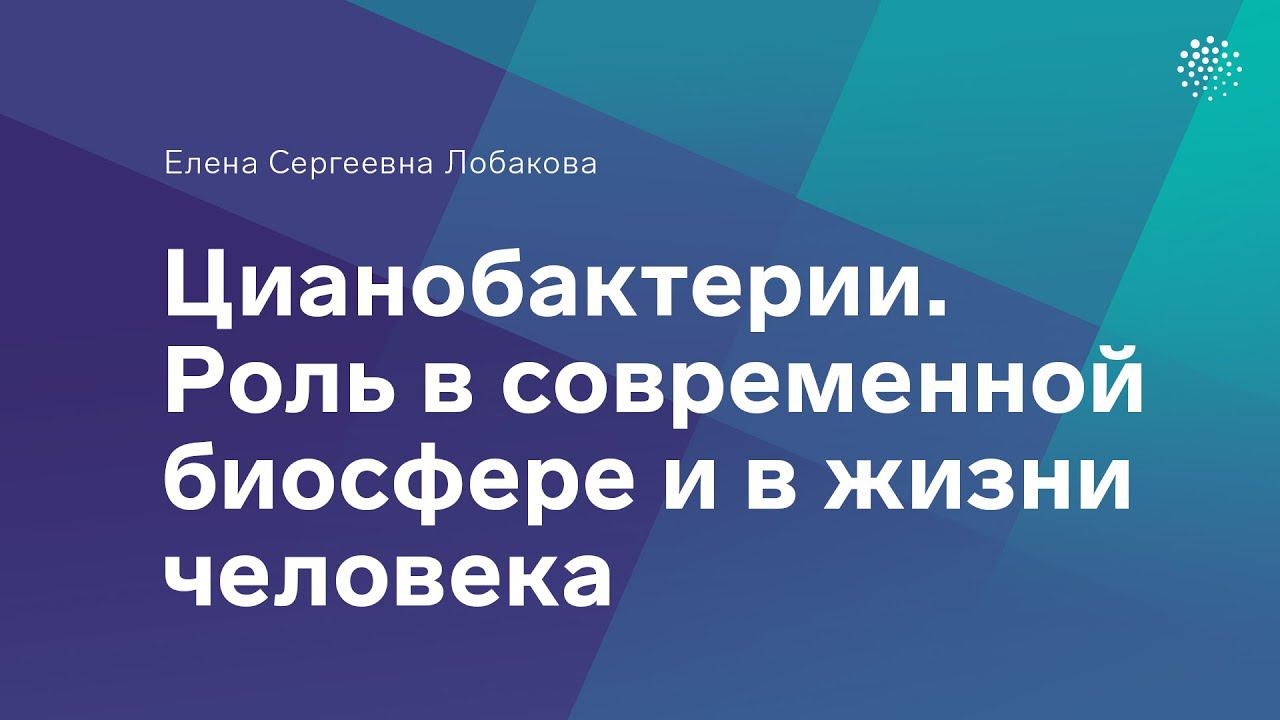 Лобакова Е. С.  Цианобактерии. Роль в современной биосфере и в жизни человека