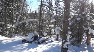 Пробую пробиться в избу на снегоходе ямаха викинг