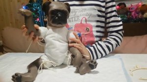 Обзор на заготовку собаки реборн принцесса Мопс.