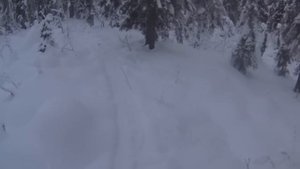 50 дней в тайге Прикамья. Бродяги Севера. Часть 9