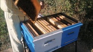 Улей лежак  Сборка гнезда в зиму  Контроль кормов