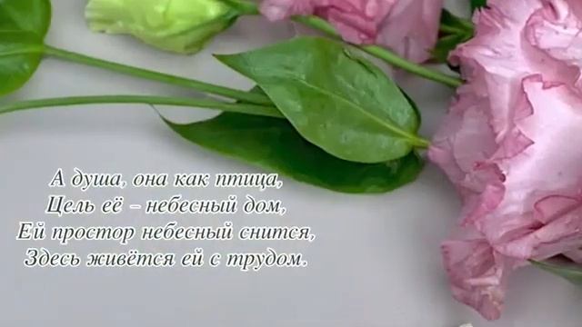 Музыкальная видео открытка для Унку Константина и Елены 30 мая 2023 года смотреть онлайн