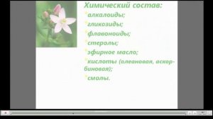 Золототысячник Лечебные свойства