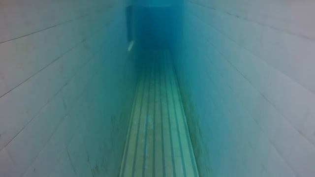 Бабочка 50 мм. Звук крыльев и работа балансира смотреть онлайн