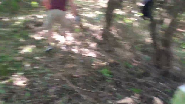 Уборка на Воскресенском погосте вблизи Растуново, Купчинино, Уварово, Матчино, Сонино смотреть онлайн