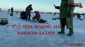 ЧТО НАХОДИТСЯ ПОД ВОДОЙ В РЫБОЛОВНОМ БАЗАРЕ "СТАРЧИХА"