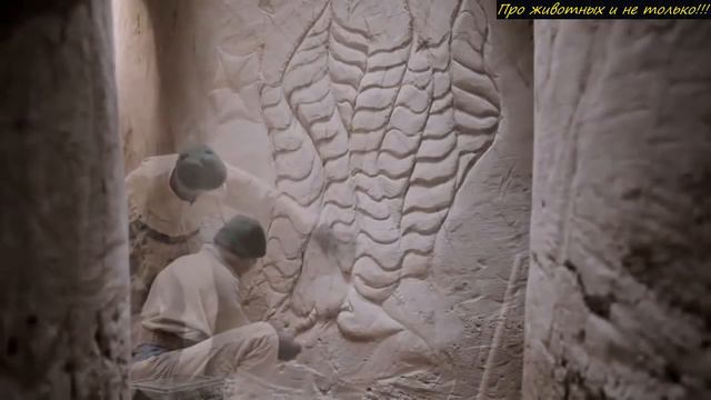 Он 25 лет прожил в пещере! То что он там натворил просто поражает! Сейчас ему аплодирует весь мир! смотреть онлайн