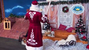 Дедушка Мороз и Снегурочка на детский праздник!