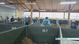 04.12.2023 Открытие телятника в АО «Важское»