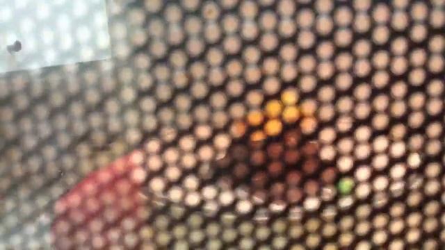 CANDY MICROWAVE MADNESS!!! WHAT!? смотреть онлайн