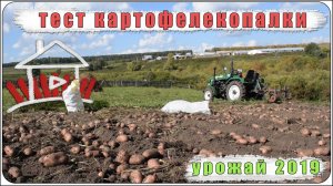 Тест самодельной картофелекопалки, сбор урожая картошки 2019
