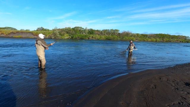 FLY FISHING FOR KING SALMON IN ALASKA