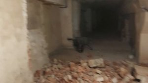 Строим тир для пневматического оружия, начало.