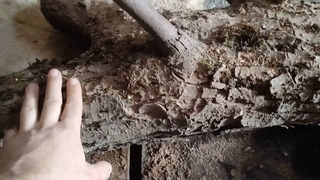 Распиловка материала на ленточной пилораме. Отличная текстура сувели березы, ясеня. смотреть онлайн