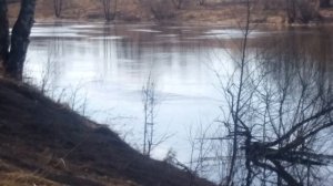 Река Которосль, Лучшее место для рыбалки! Почти....