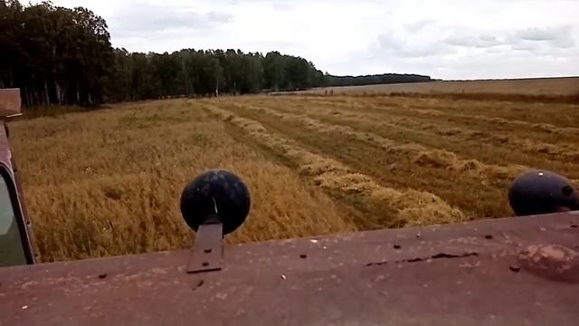 #Ск5нива #уборкаовса!#безопытаработа на комбайне?
