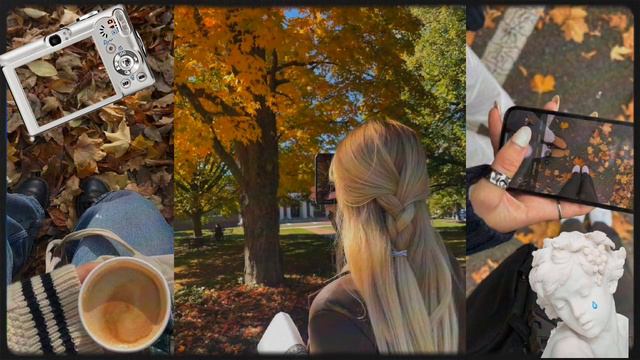 вайб/внешность/характер желаемого человека/персонажа (｡•̀ᴗ-)✧|| саблиминал смотреть онлайн