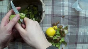 Как сварить варенье в хлебопечке.mp4